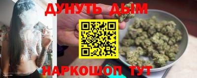 Альфа ПВП Гатчина